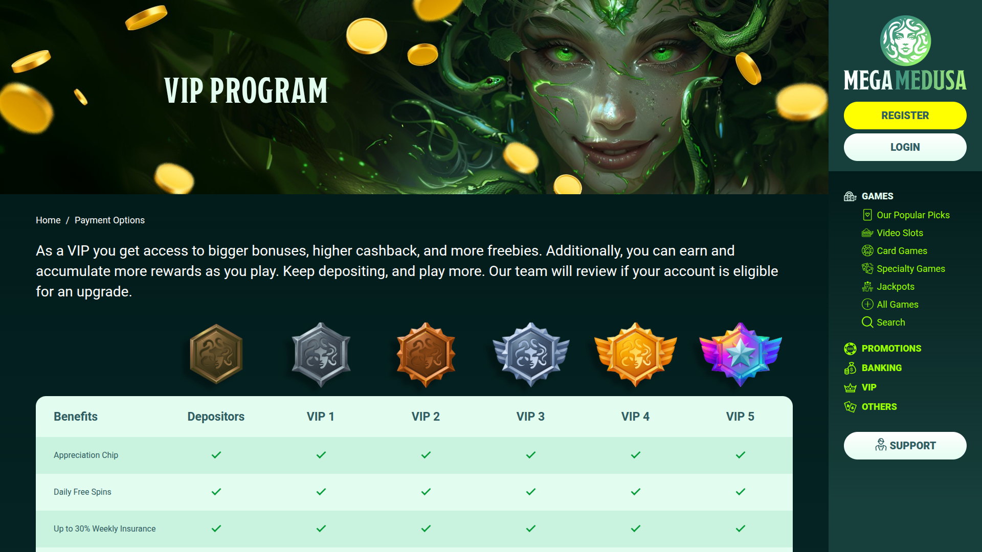 Mega Medusa Casino Desktop VIP Program