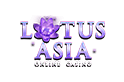 95 Free Spins at Lotus Asia Casino Bonus Code