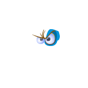 eyes