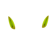 head