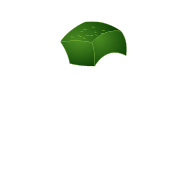 head
