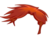 head