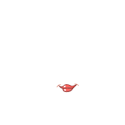 mouth