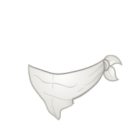 mouth