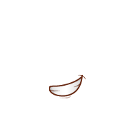 mouth