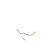 mouth